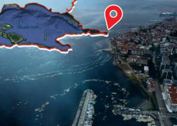 Sessiz Felaket Marmara’yı Sardı, İlçe ilçe Geziyor! 'Eğer Durdurmazsak…'