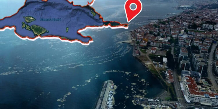 Sessiz Felaket Marmara’yı Sardı, İlçe ilçe Geziyor! 'Eğer Durdurmazsak…'