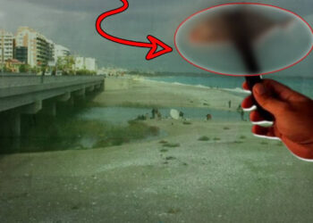 Siyanürden 1200 Kat Daha Zehirli, Akdeniz’in Adım Adım İstila Ediyor, Bir Kent Diken Üzerinde