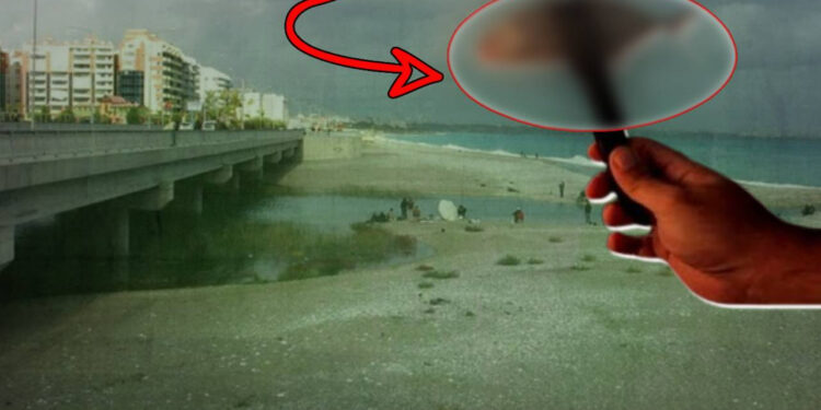 Siyanürden 1200 Kat Daha Zehirli, Akdeniz’in Adım Adım İstila Ediyor, Bir Kent Diken Üzerinde