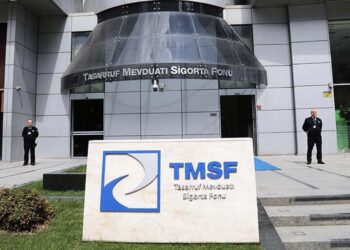 TMSF 2 şirketi satışa çıkardı