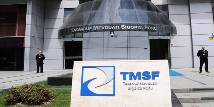 TMSF şirketlere kayyım olarak atanabilecek