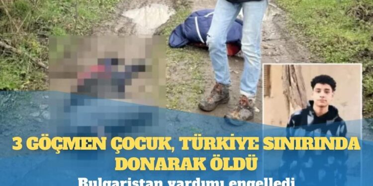 Türkiye-Bulgaristan sınırı: Mısırlı üç göçmen, polis gözetiminde donarak öldü