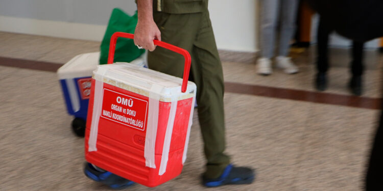 Türkiye'de 33 bin 589 hasta organ ve doku nakli bekliyor