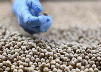 Türkiye'den geçen yıl 11,9 milyar dolarlık hububat ve bakliyat ihracatı yapıldı