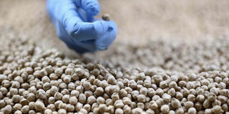 Türkiye'den geçen yıl 11,9 milyar dolarlık hububat ve bakliyat ihracatı yapıldı