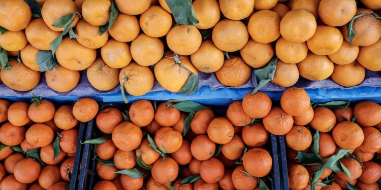 Türkiye'nin narenciye ihracatını Doğu Akdeniz illeri sırtladı