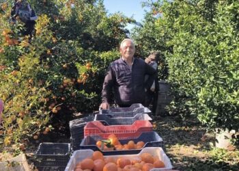 Üretici bitti, artık kökten keseceğiz