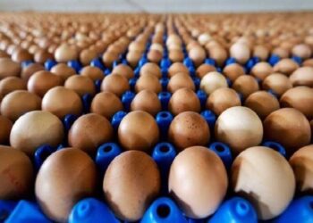 Yumurtanın tanesi 6 TL’ye çıktı; 10 liradan satılan da var!