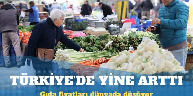 Gıda fiyatları dünyada düşerken Türkiye’de yine arttı