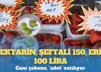 Canı çekene, ‘adet’ satılıyor; nektarin, şeftali 150, erik 100 lira