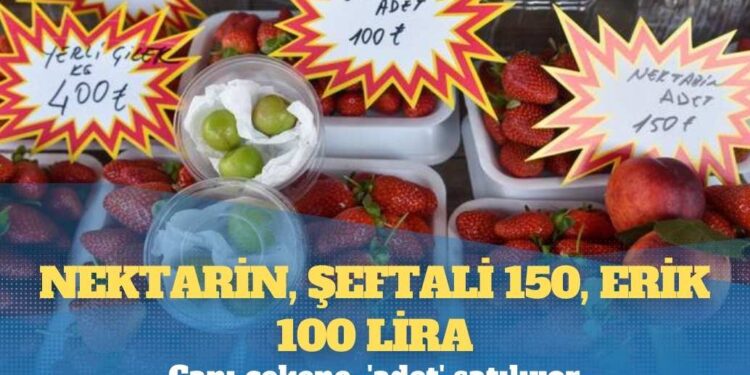 Canı çekene, ‘adet’ satılıyor; nektarin, şeftali 150, erik 100 lira