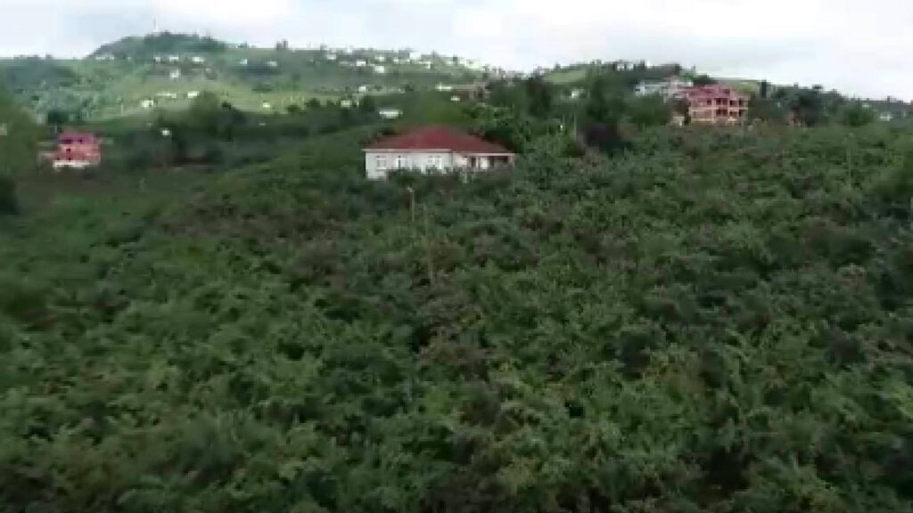 100'e yakın üreticinin fındığını alıp, ödeme yapmadan ortadan kayboldu