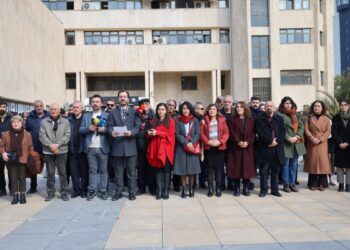 Amed Kent Konseyi kayyım düzenlemesinin iptalini istedi