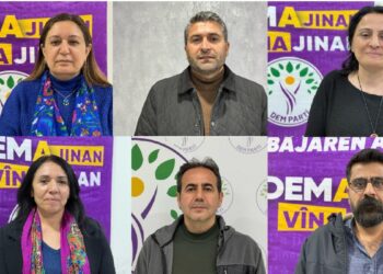 Amed’e çağrı: Gelin bu tarihi açıklamaya hep birlikte kulak verelim
