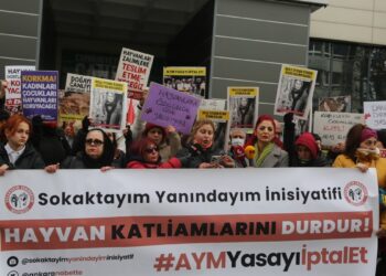 ‘Ülker Güzelyüz hayvan toplatılmalarına direndiği için hedef gösterildi’