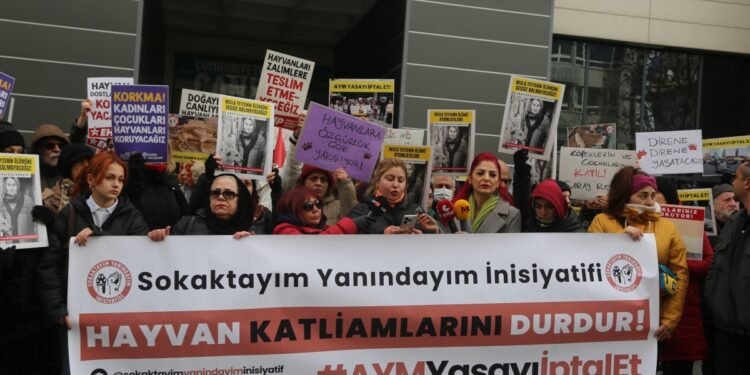 ‘Ülker Güzelyüz hayvan toplatılmalarına direndiği için hedef gösterildi’