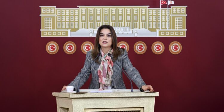 Koçyiğit’ten kayyım tepkisi: Cüppelerinizi çıkarıp aday olun