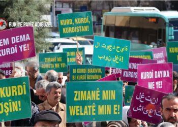 Cemile Turhallı: Anadilde eğitim çözüme büyük katkı sağlar