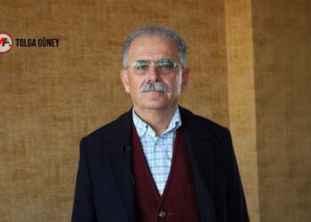 Barış Akademisyeni Hamzaoğlu: Devletin atması gereken adımlar var