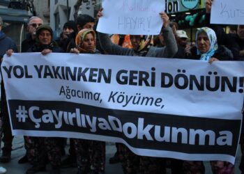 Çayırlılar ağaç kesimine karşı ayakta