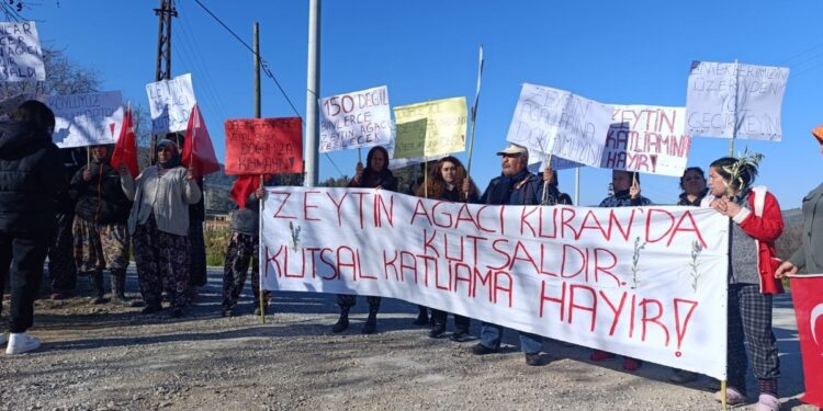 Çayırlılar ağaç kıyımına karşı şantiye kapısına dayandı