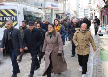 Qaxizman’da kayyıma karşı yürüyüş