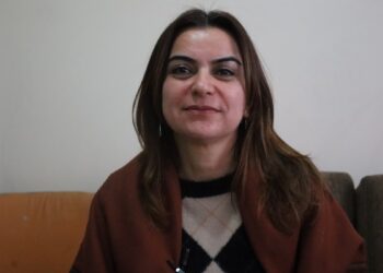 Gülistan Kılıç Koçyiğit: Kayyım ataması tartışmaları geriye çeken adımlardır