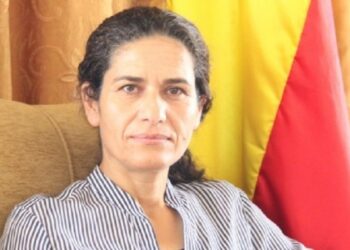 Îlham Ehmed: Özerk Yönetim deneyimi Suriye’deki krizin çözümünü gösteriyor