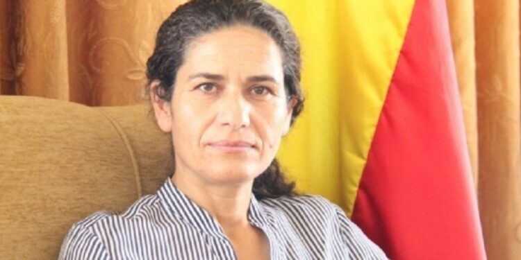 Îlham Ehmed: Özerk Yönetim deneyimi Suriye’deki krizin çözümünü gösteriyor