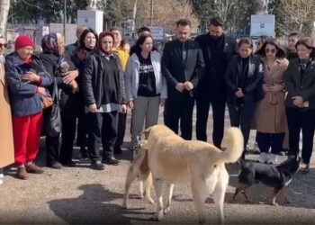 MHP’li belediyede hayvan katliamı iddiası