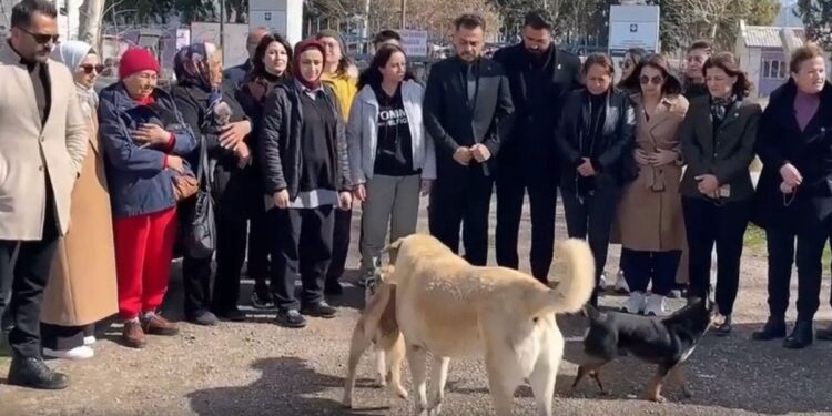 MHP’li belediyede hayvan katliamı iddiası