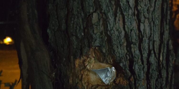 DEM Partili Babat’ın evine saldırı