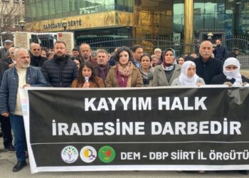 Kayyımın Mahsa Amini’nin fotoğraflarını silmesine tepki