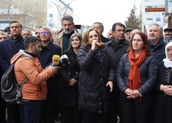 Ayşegül Doğan: Türkiye halkları Wan halkının mesajını iyi okumalı