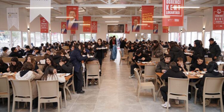 3 çeşit yemek ve meyve 30 lira