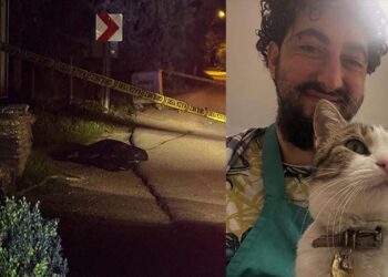 6 aylıkken annesini kaydetti, 9 yaşındayken kazada engelli kaldı, 36 yaşında yine bir kazada öldü