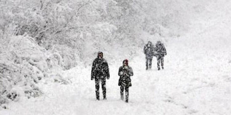 7 ilde okullar tatil edildi