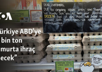 “Türkiye ABD’ye 15 bin ton yumurta ihraç edecek”