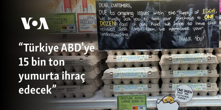 “Türkiye ABD’ye 15 bin ton yumurta ihraç edecek”