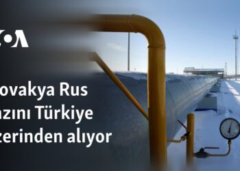 Slovakya Rus gazını Türkiye üzerinden alıyor