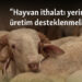 “Hayvan ithalatı yerine yerli üretim desteklenmeli”