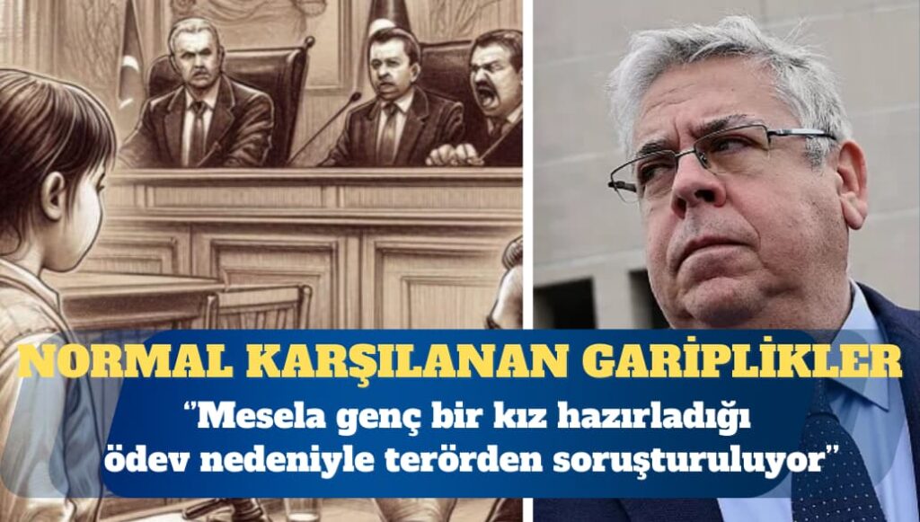 AP Türkiye Raportörü: Mesela genç bir kız hazırladığı ödev nedeniyle terörden soruşturuluyor