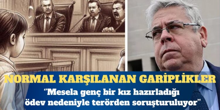 AP Türkiye Raportörü: Mesela genç bir kız hazırladığı ödev nedeniyle terörden soruşturuluyor