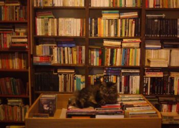 Artan kitap fiyatları sahaflığı bitiriyor