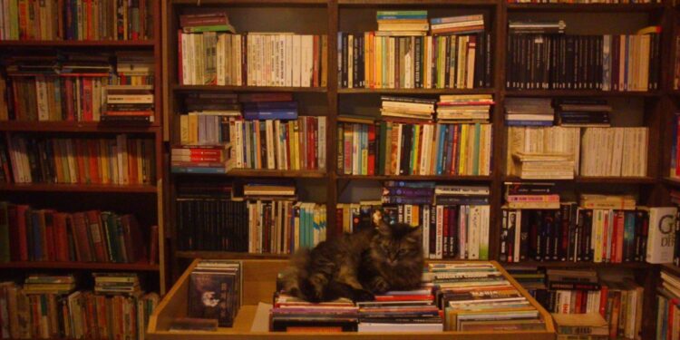 Artan kitap fiyatları sahaflığı bitiriyor