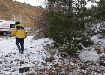 Ceset İhbarıyla Gittiler, Gördükleriyle Şaşkınlığa Uğradılar