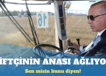 ”Çiftçinin anası ağlıyor” demişti: Cumhurbaşkanına hakaretten hapsi istendi