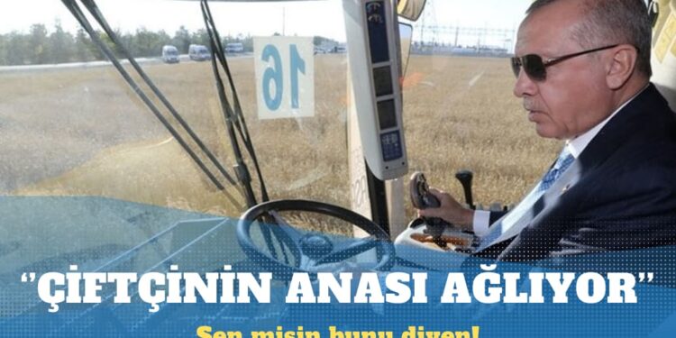 ”Çiftçinin anası ağlıyor” demişti: Cumhurbaşkanına hakaretten hapsi istendi