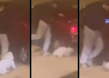 Dehşet Anları Kamerada: Hem Kadına Hem Köpeğe Saldırdı